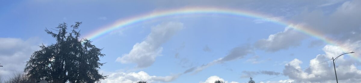 英語できない親でも楽しむカリフォルニア生活